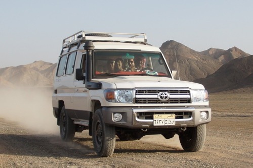 Safari Trips